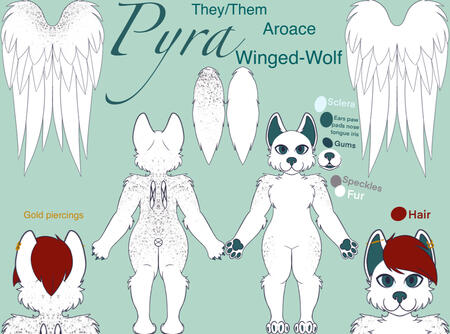 Reference Sheet